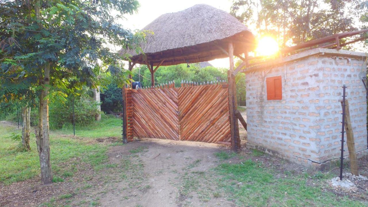 Irungu Forest Safari Lodge Katunguru Exterior foto